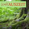Online-Auszeit "WaldAuszeit" – Gruppe 'Eiche' 2022 (13.04. & 20.04.2022)